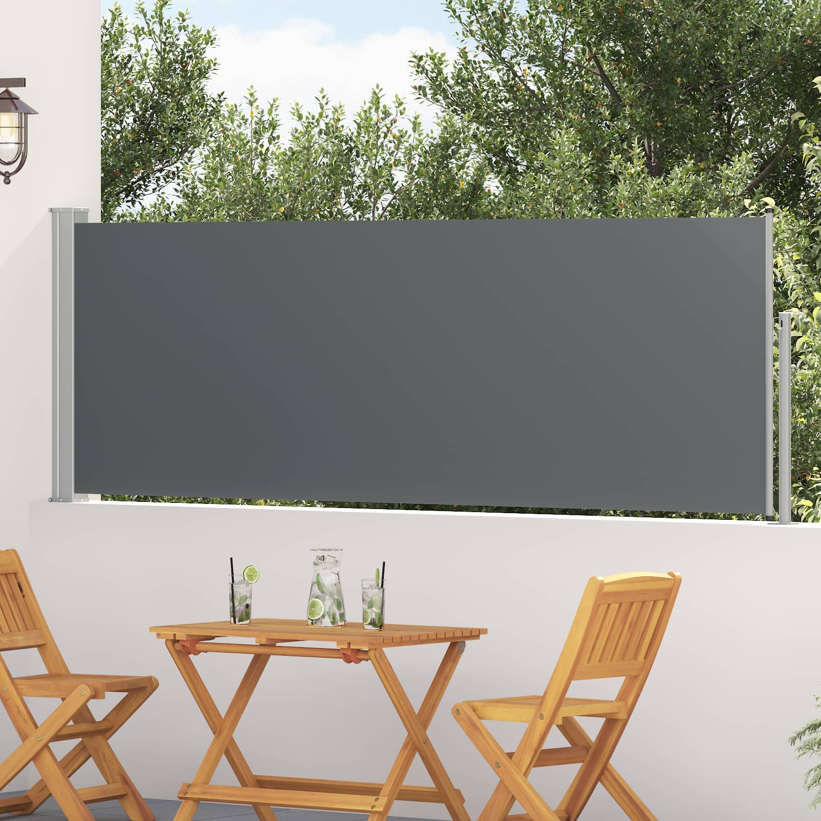 Tenda laterale retrattile Rettangolare 300 x 100 cm Poliestere