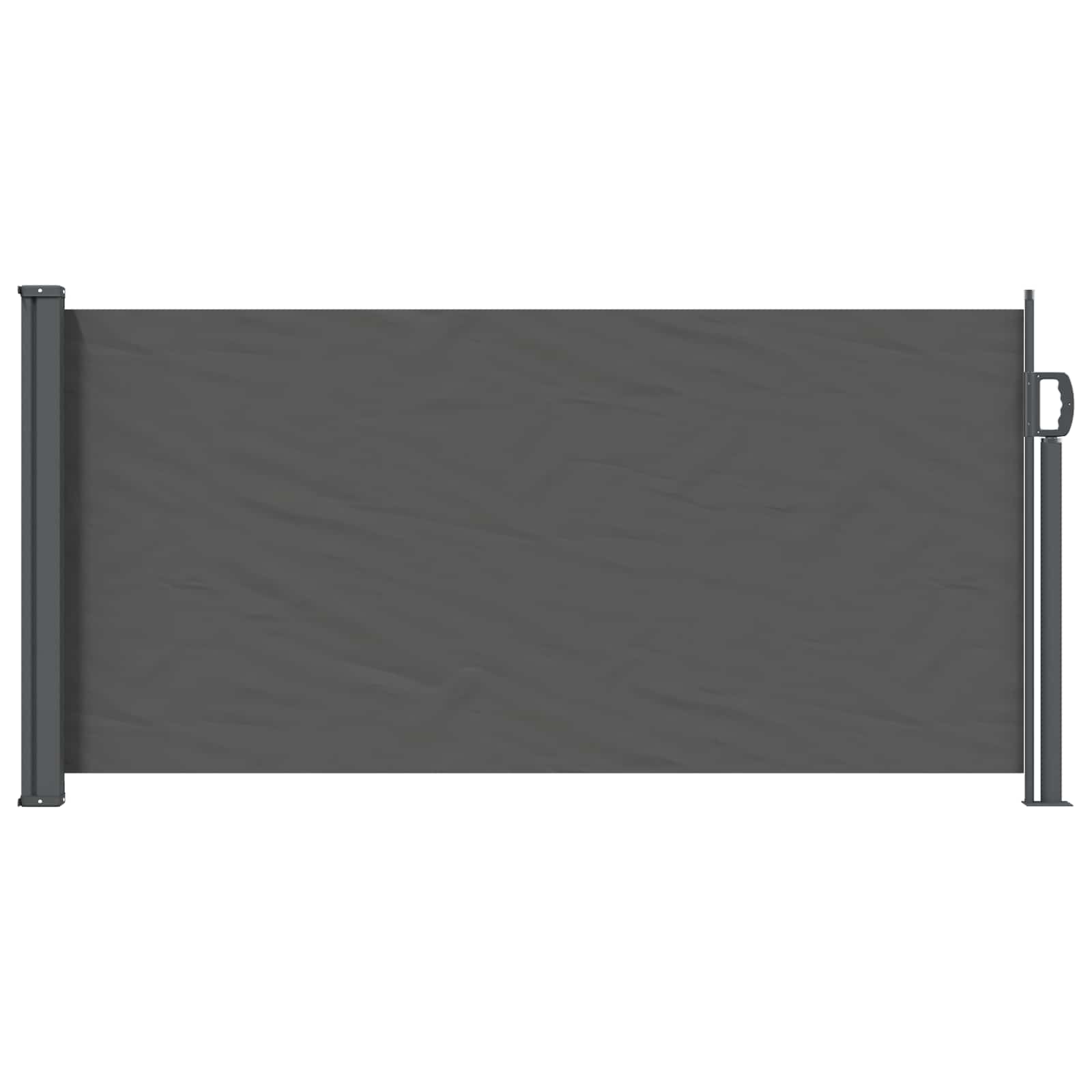 Tenda laterale retrattile 300 x 100 cm Poliestere Rettangolare