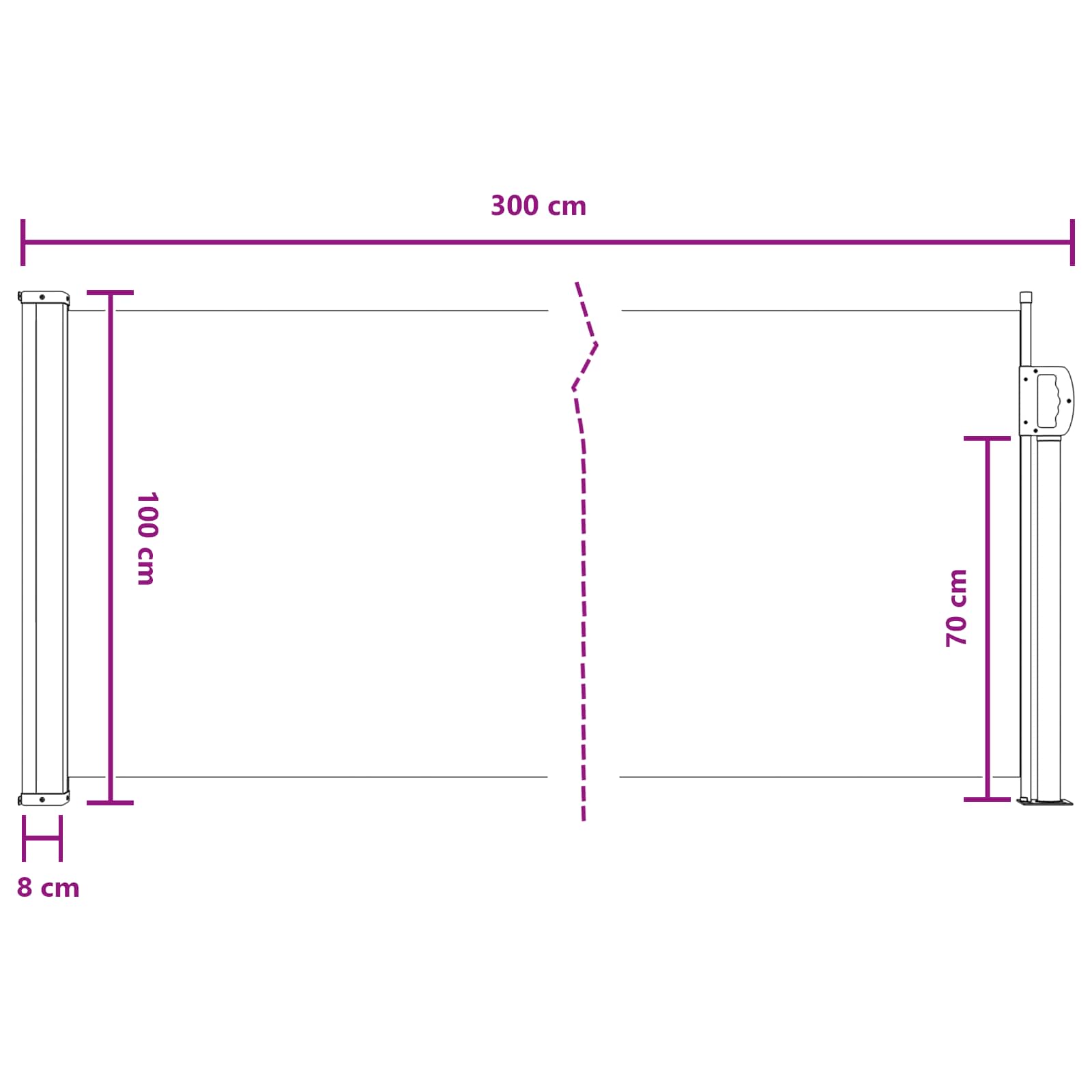 Tenda laterale retrattile 300 x 100 cm Poliestere Rettangolare