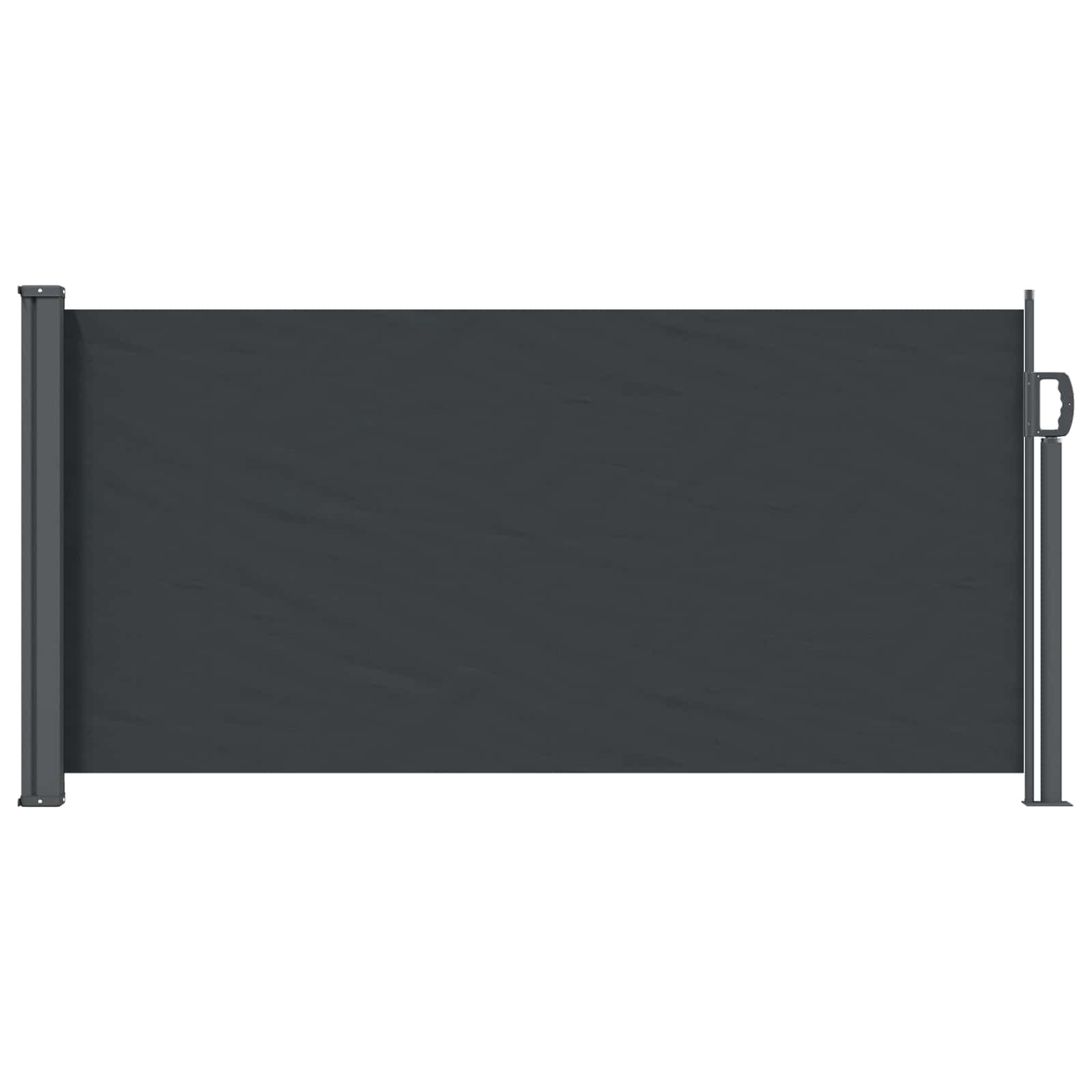 Tenda laterale retrattile 300 x 100 cm Poliestere Rettangolare
