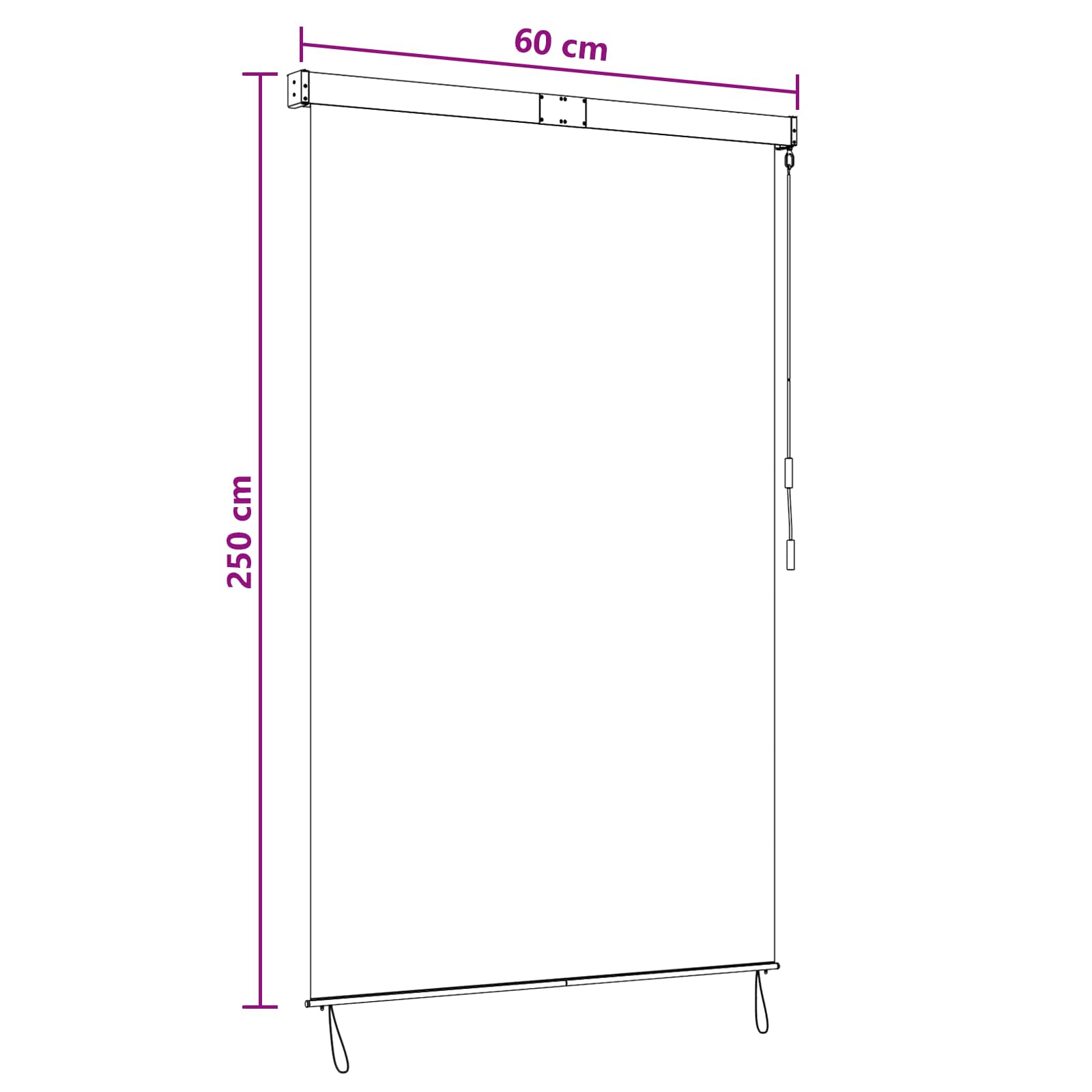 Tenda a rullo Nero 60 x 250 cm Tessuto e Alluminio