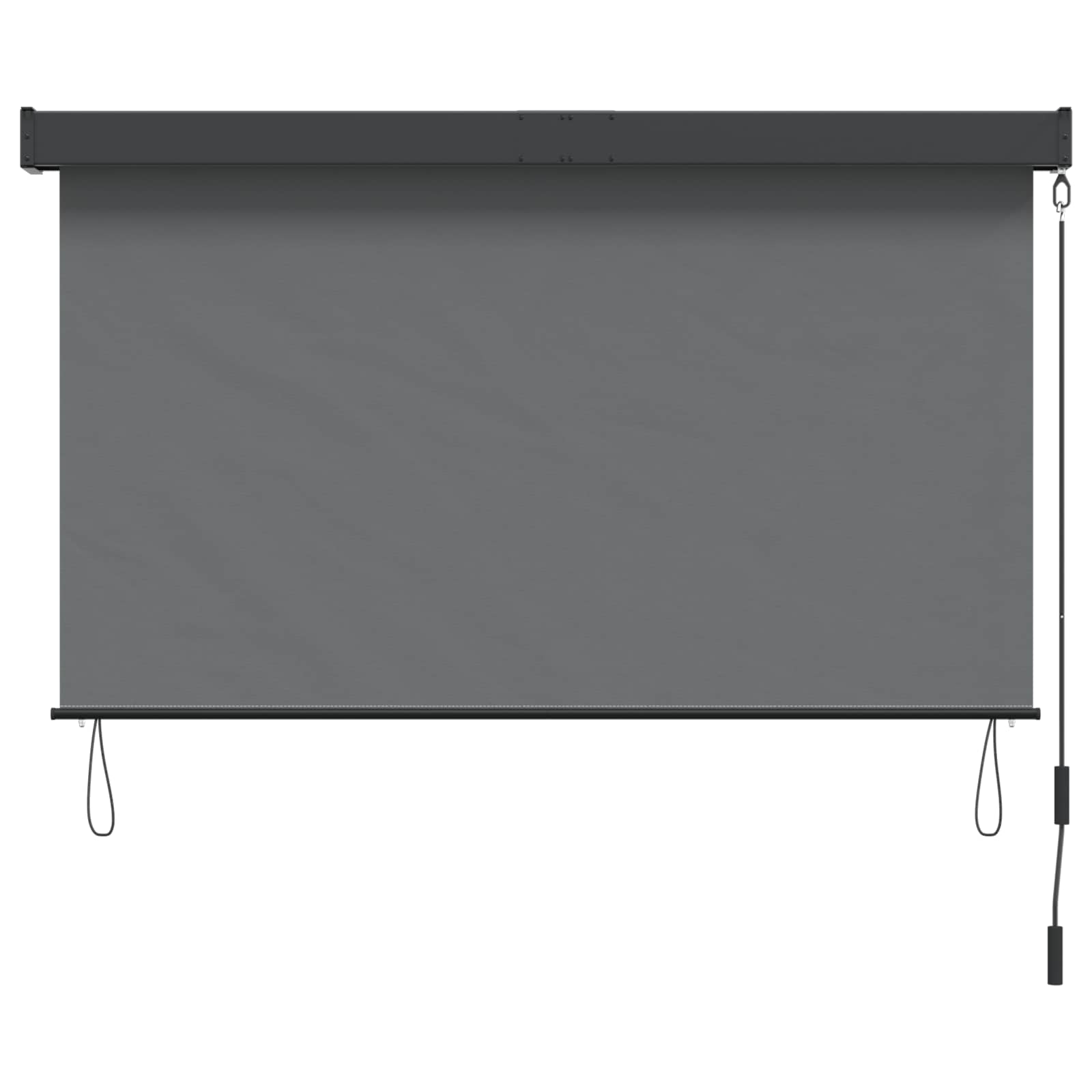 Tenda a rullo Grigio Chiaro 60 x 250 cm Tessuto e Alluminio