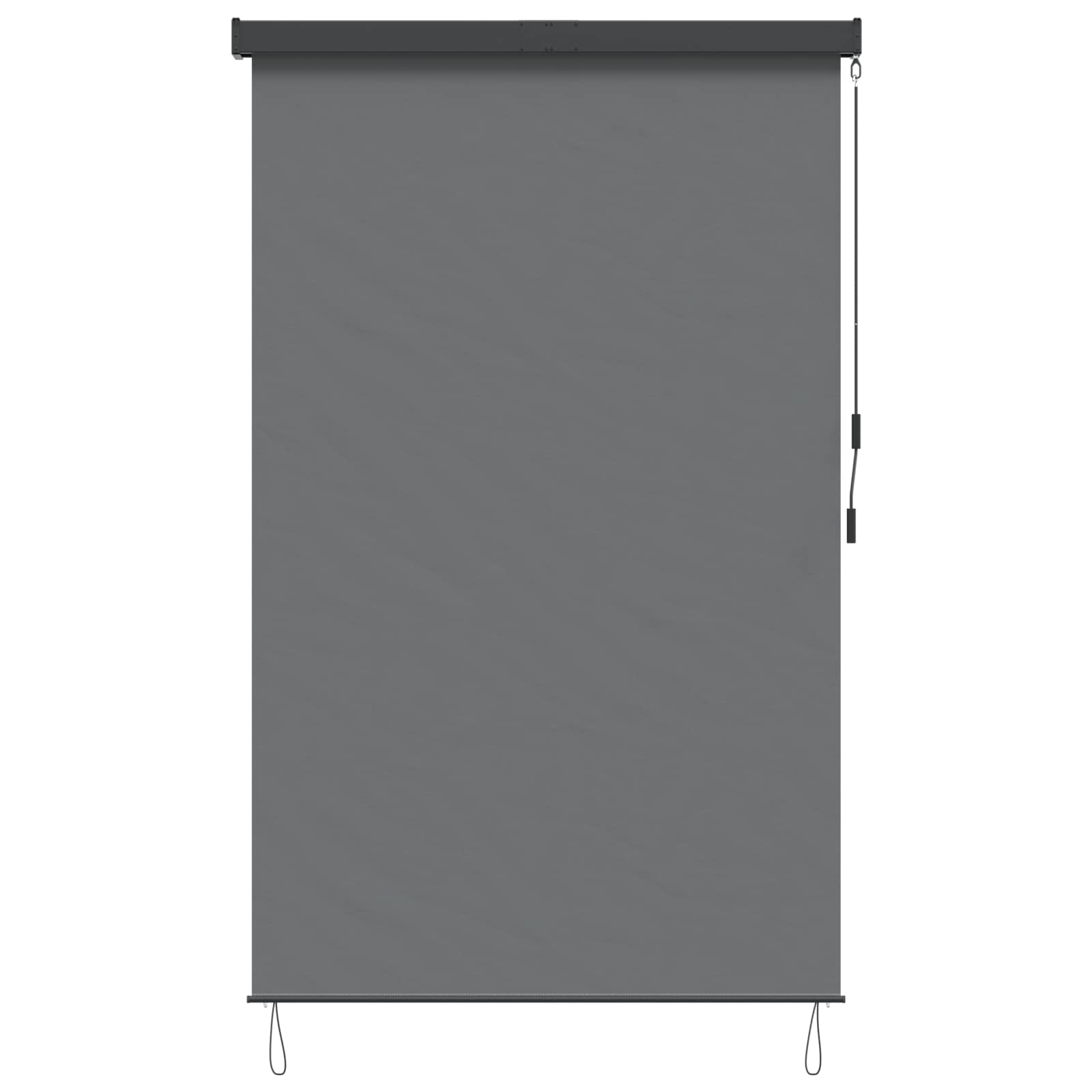 Tenda a rullo Grigio Chiaro 60 x 250 cm Tessuto e Alluminio