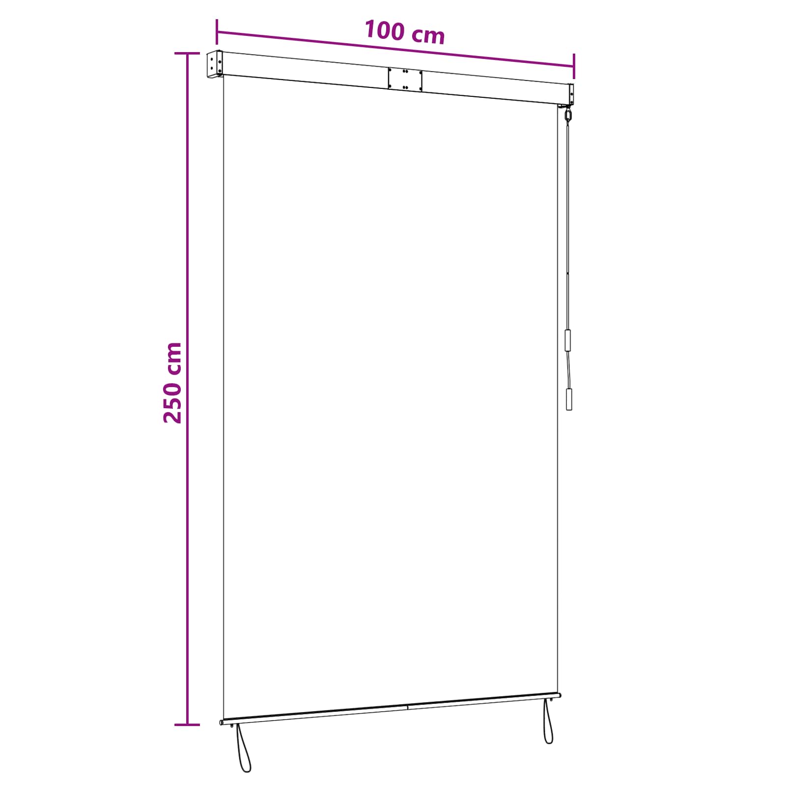 Tenda a rullo Nero 100 x 250 cm Tessuto e Alluminio