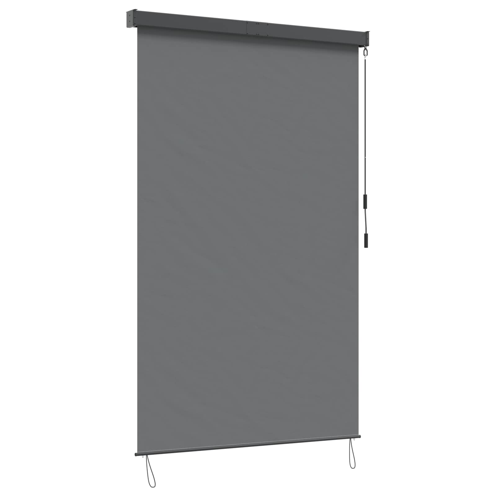 Tenda a rullo Grigio Chiaro 120 x 250 cm Tessuto e Alluminio