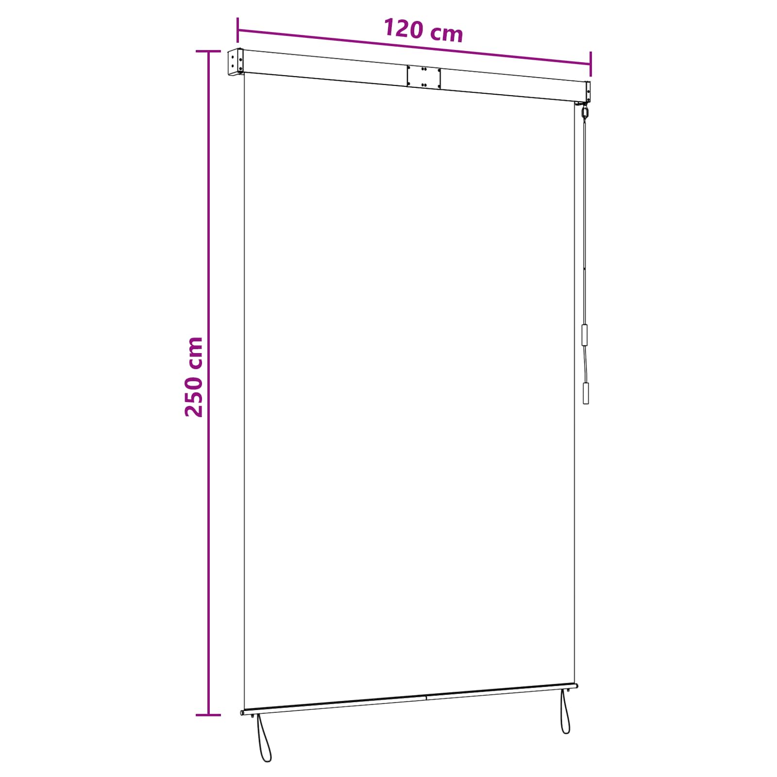 Tenda a rullo Antracite e Bianco 120 x 250 cm