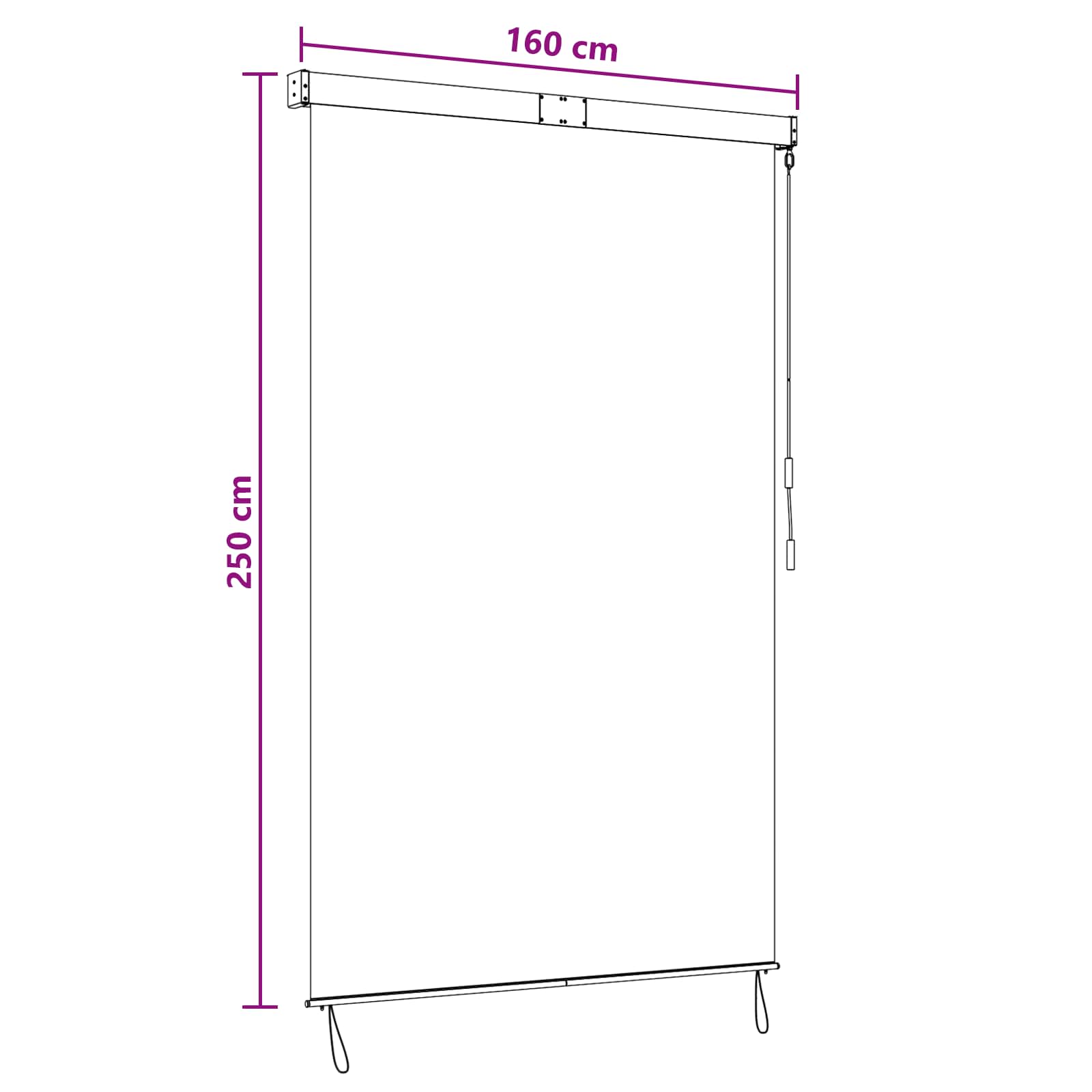 Tenda a rullo Antracite e Bianco 160 x 250 cm