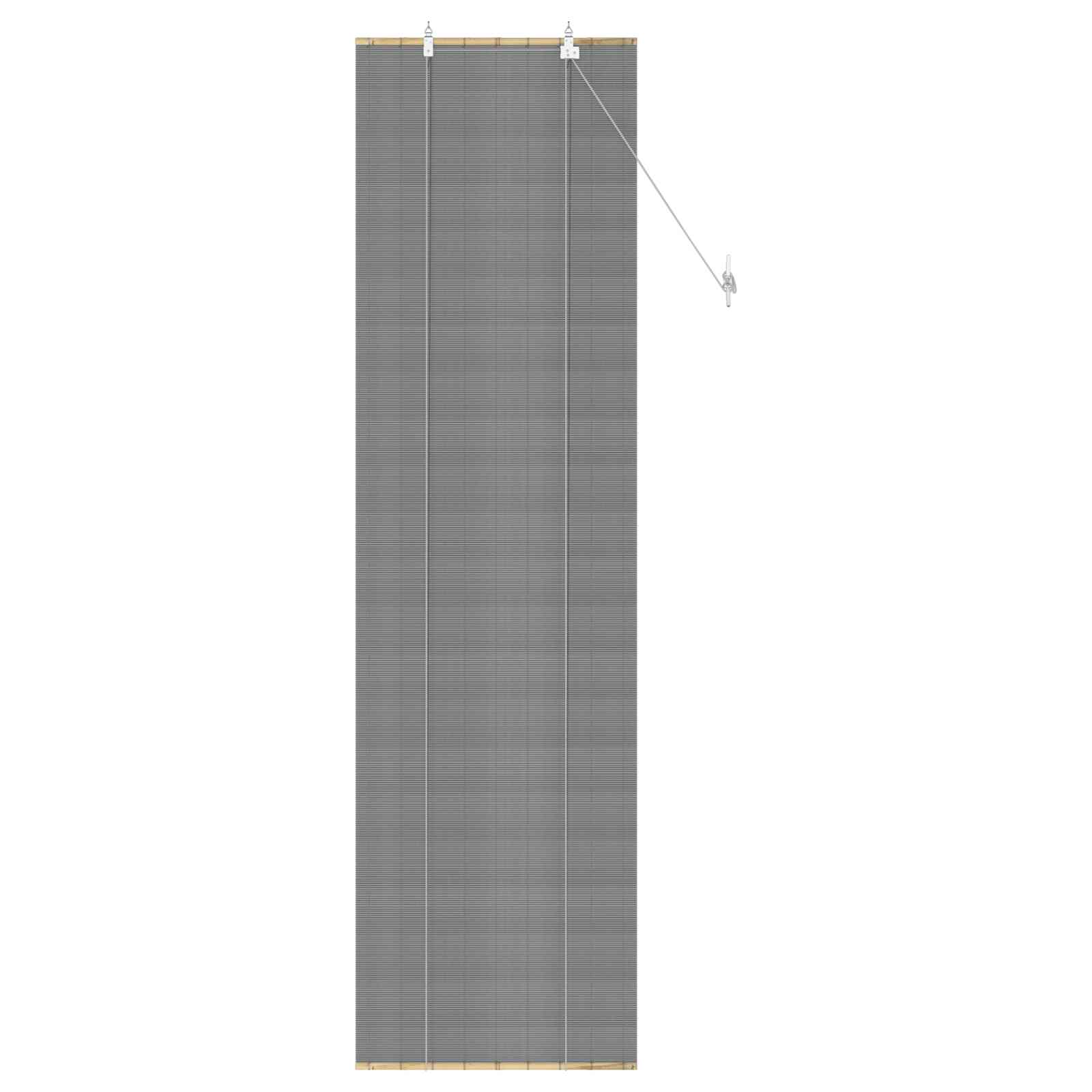 Tenda a rullo Grigio 60 x 220 cm Bambù