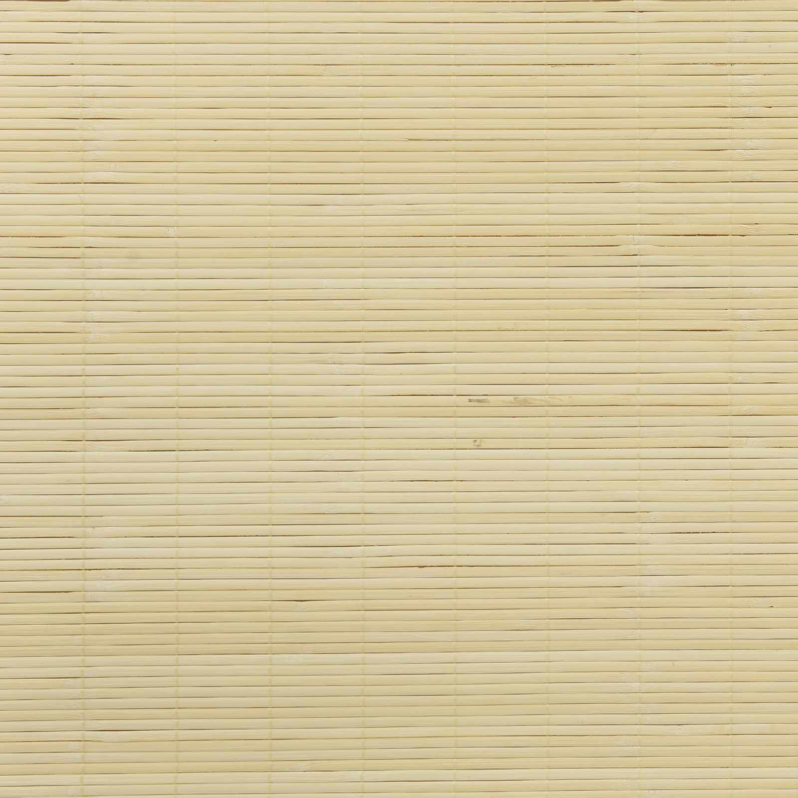 Tenda a rullo Naturale 40 x 160 cm Bambù