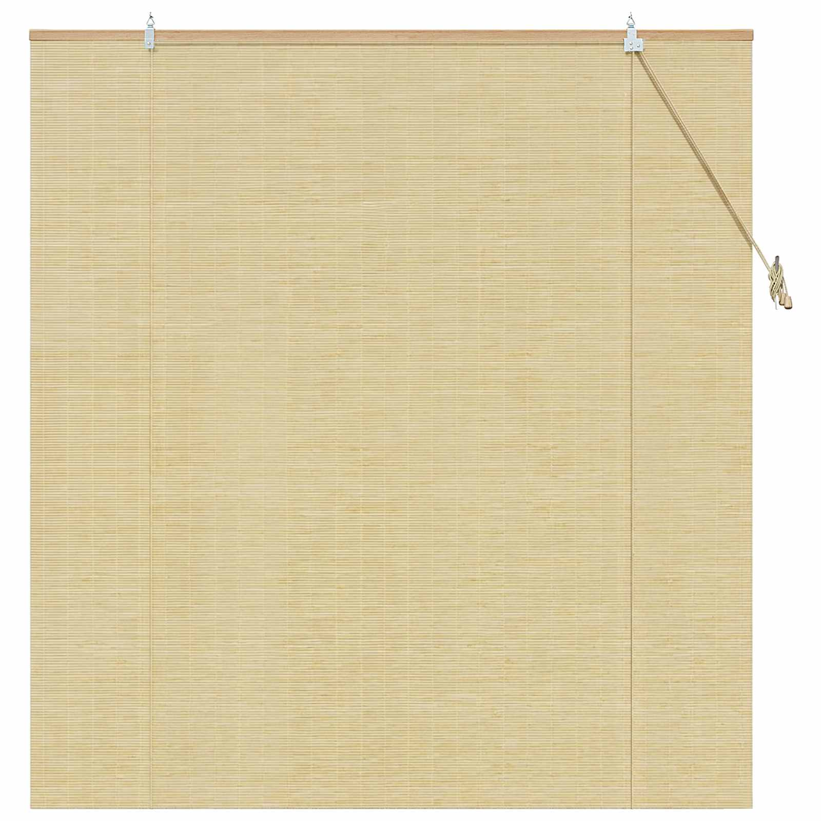 Tenda a rullo Naturale 160 x 160 cm Bambù