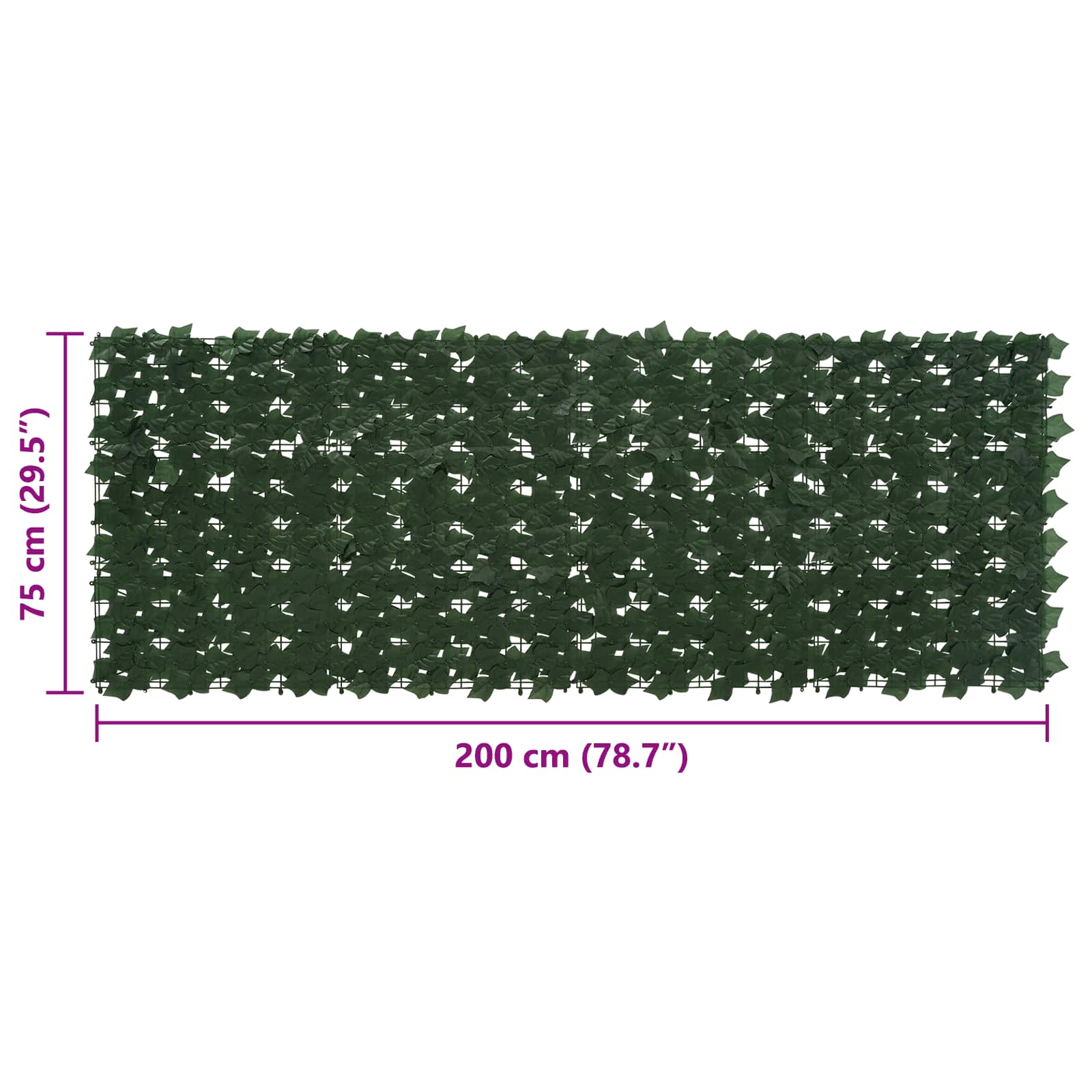 Schermo per balcone con foglie Verde Scuro 200 x 75 cm