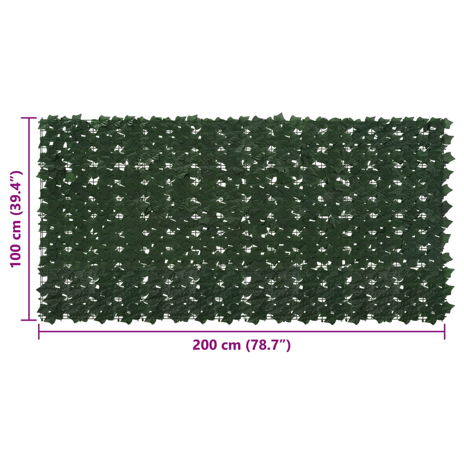 Schermo per balcone con foglie Verde Scuro 200 x 100 cm