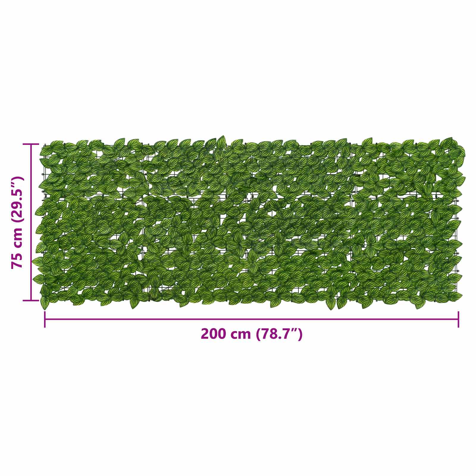 Schermo per balcone con foglie Verde e Giallo 200 x 75 cm