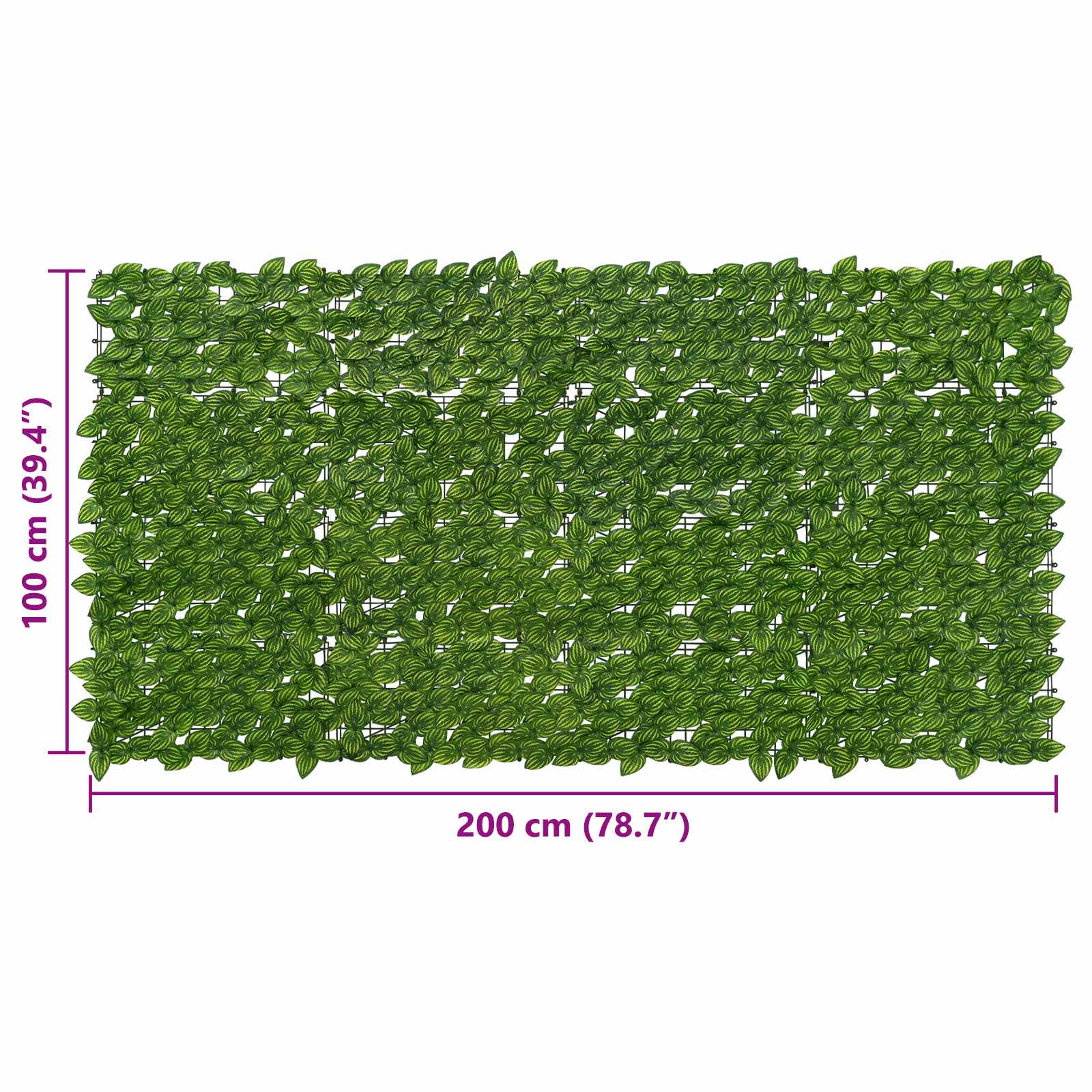 Schermo per balcone con foglie Verde e Giallo 200 x 100 cm