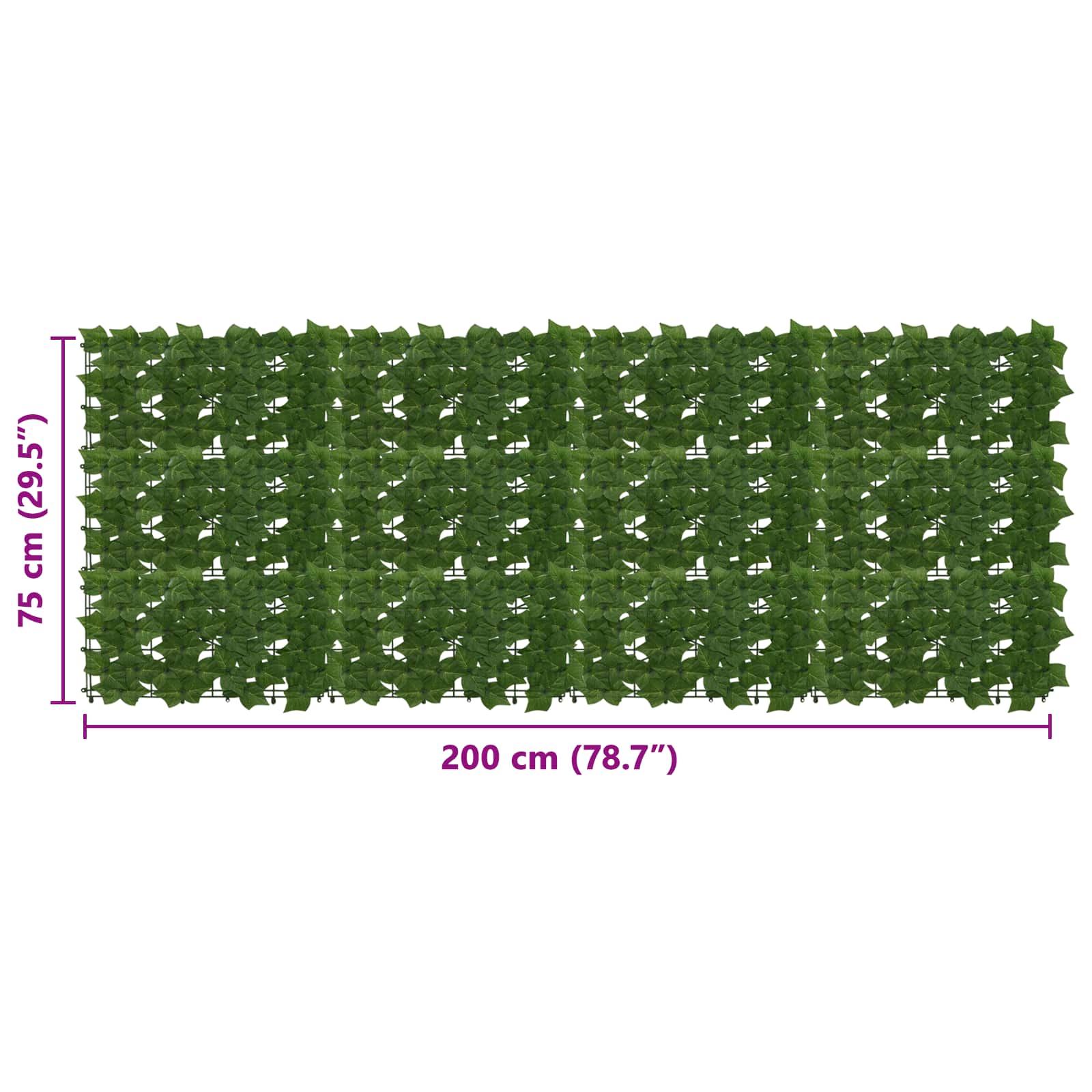 Schermo per balcone con foglie Verde 200 x 75 cm