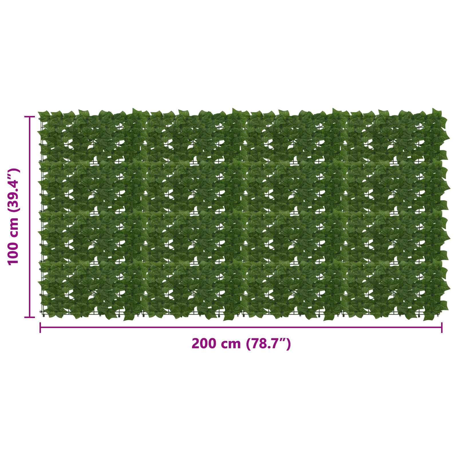 Schermo per balcone con foglie Verde 200 x 100 cm