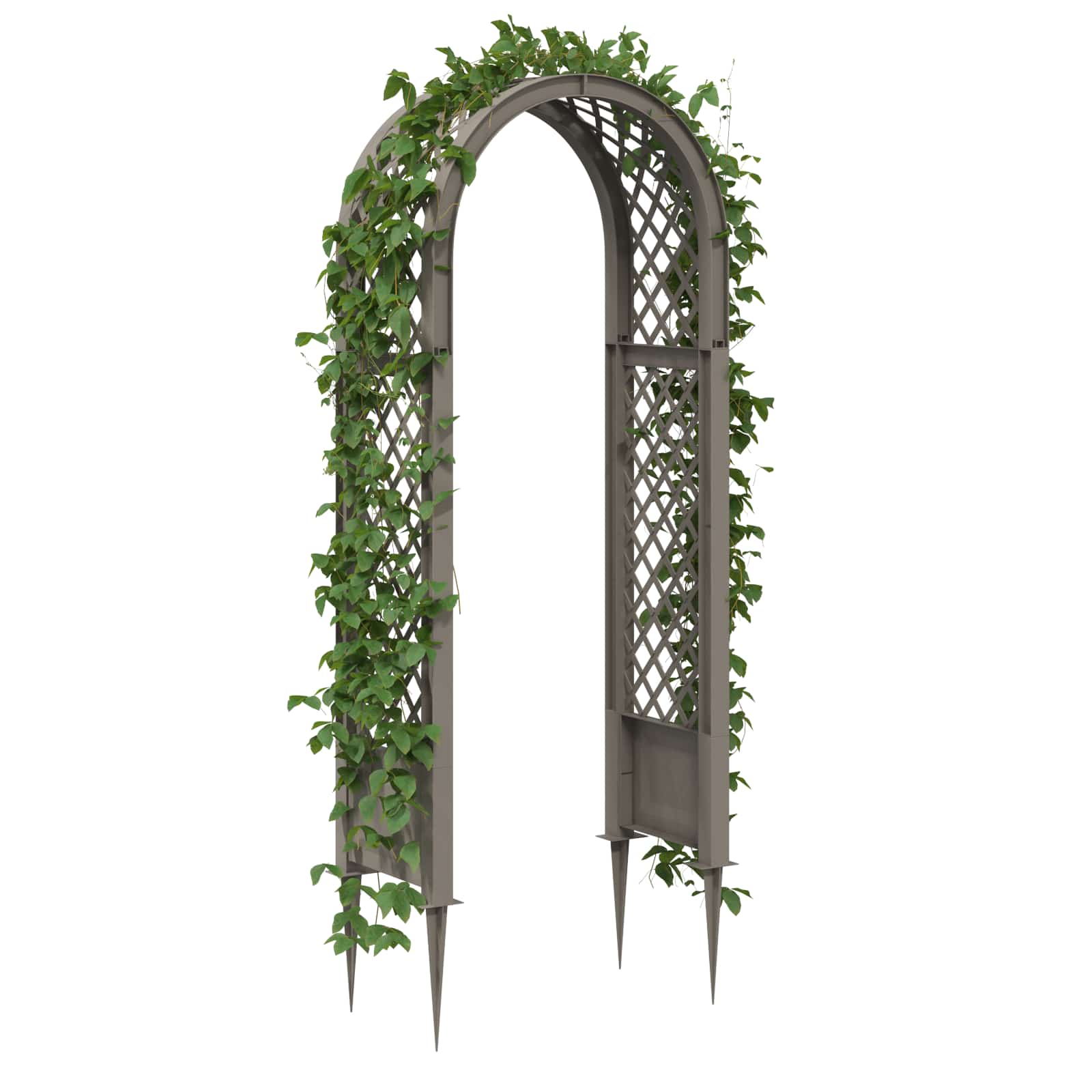 Arco di rose con punte PP Grigio