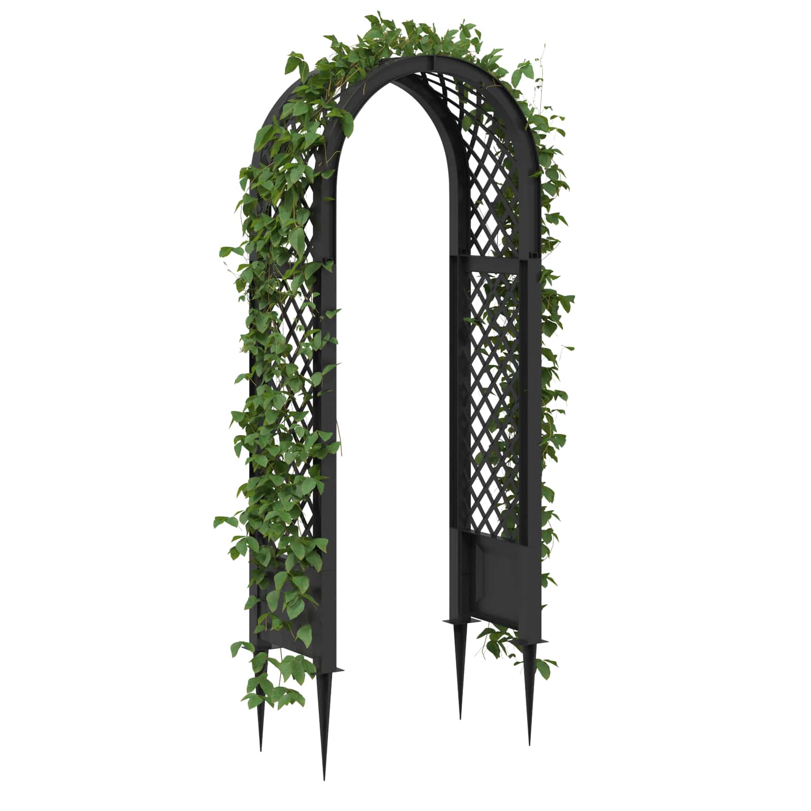 Arco di rose con punte PP Antracite