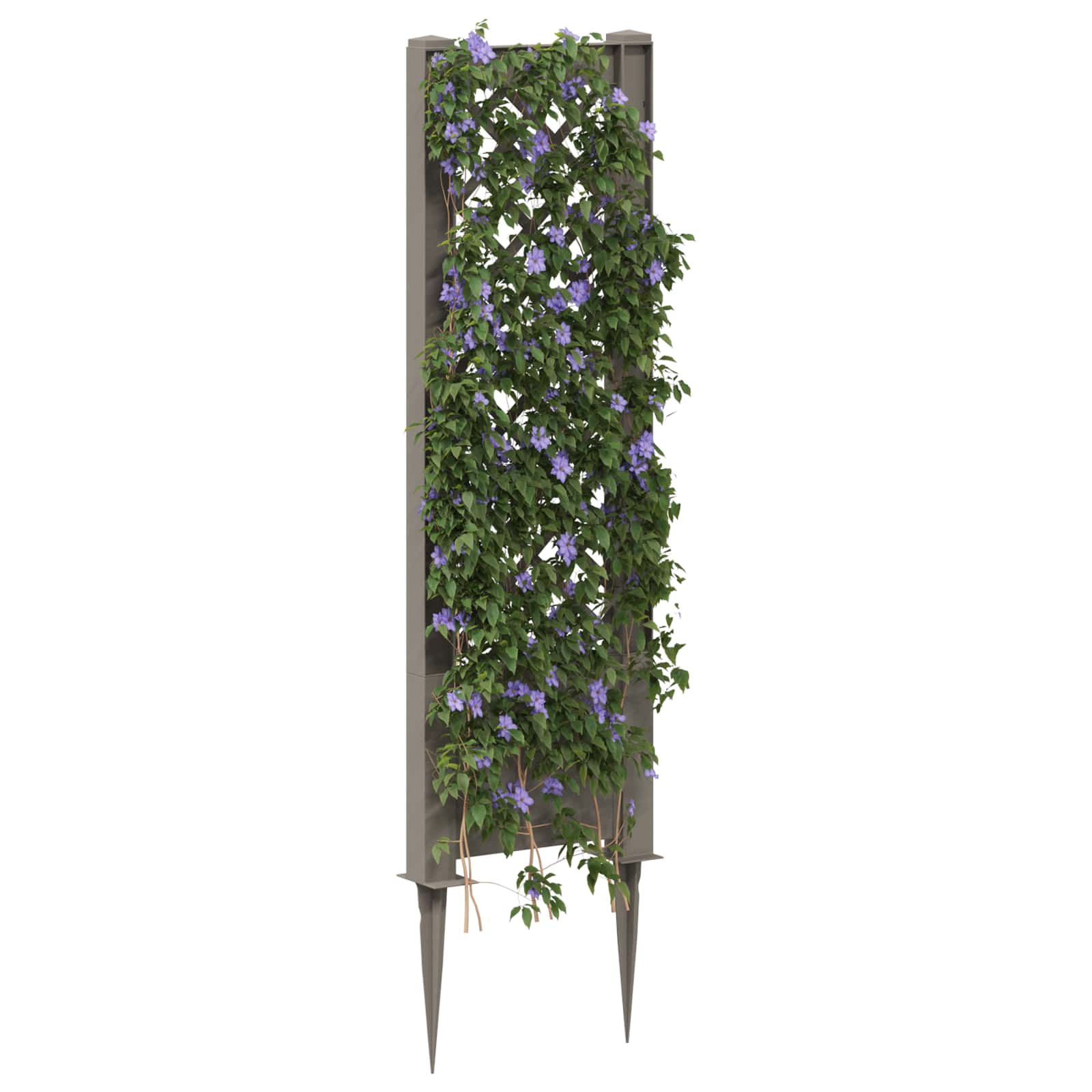 Trellis con Punta PP Grigio