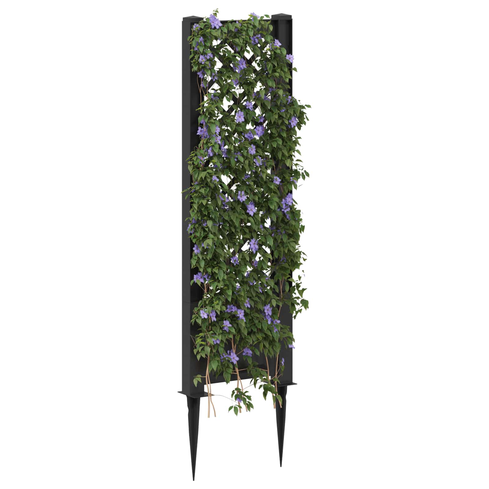 Trellis con Punta PP Antracite