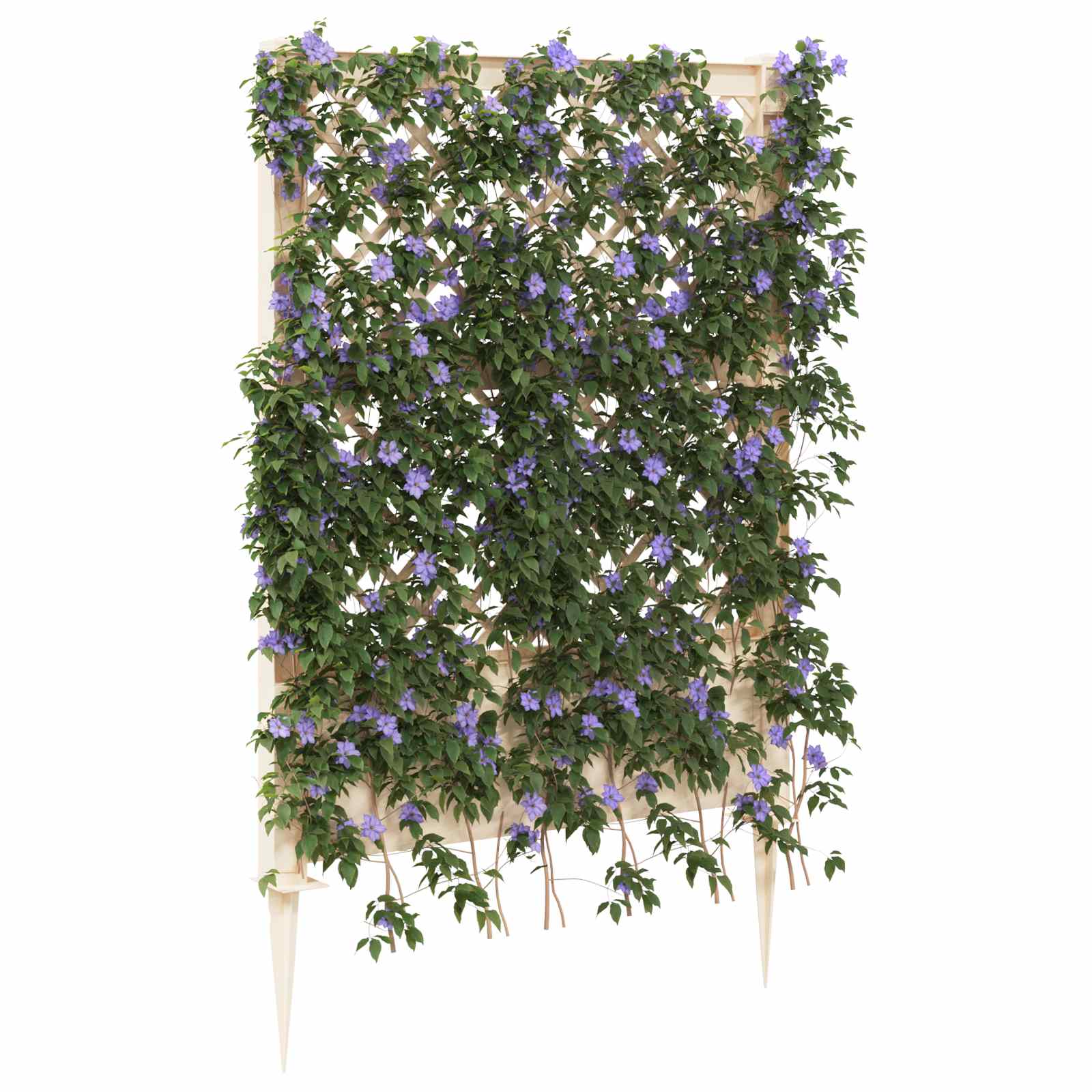 Trellis con Punta PP Bianco