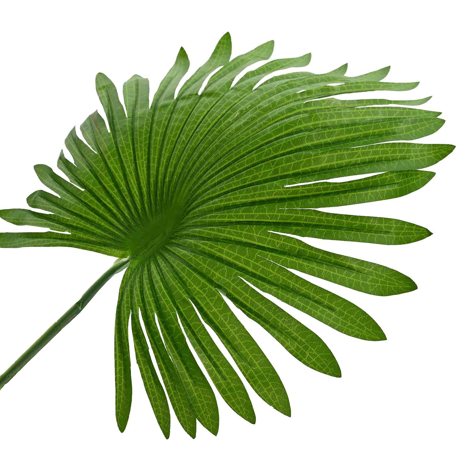 Albero di Palma Fan Artificiale Verde 75 x 25 x 180 cm