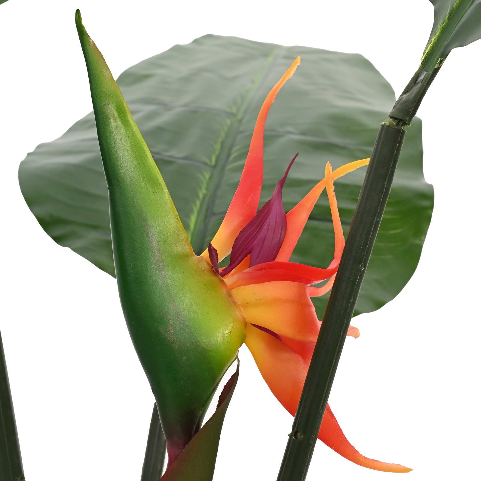 Pianta Artificiale Strelitzia Verde 70 x 18 x 155 cm