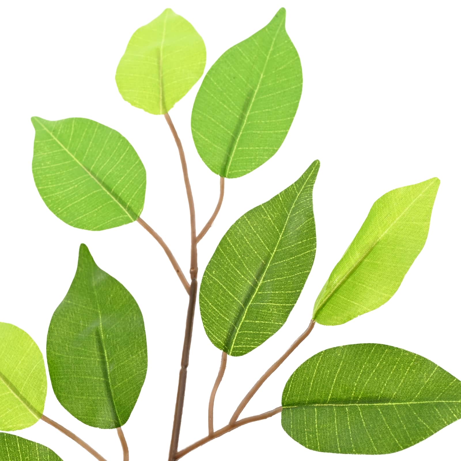 Pianta Ficus Artificiale Verde 73 x 16 x 60 cm Tessuto e Legno