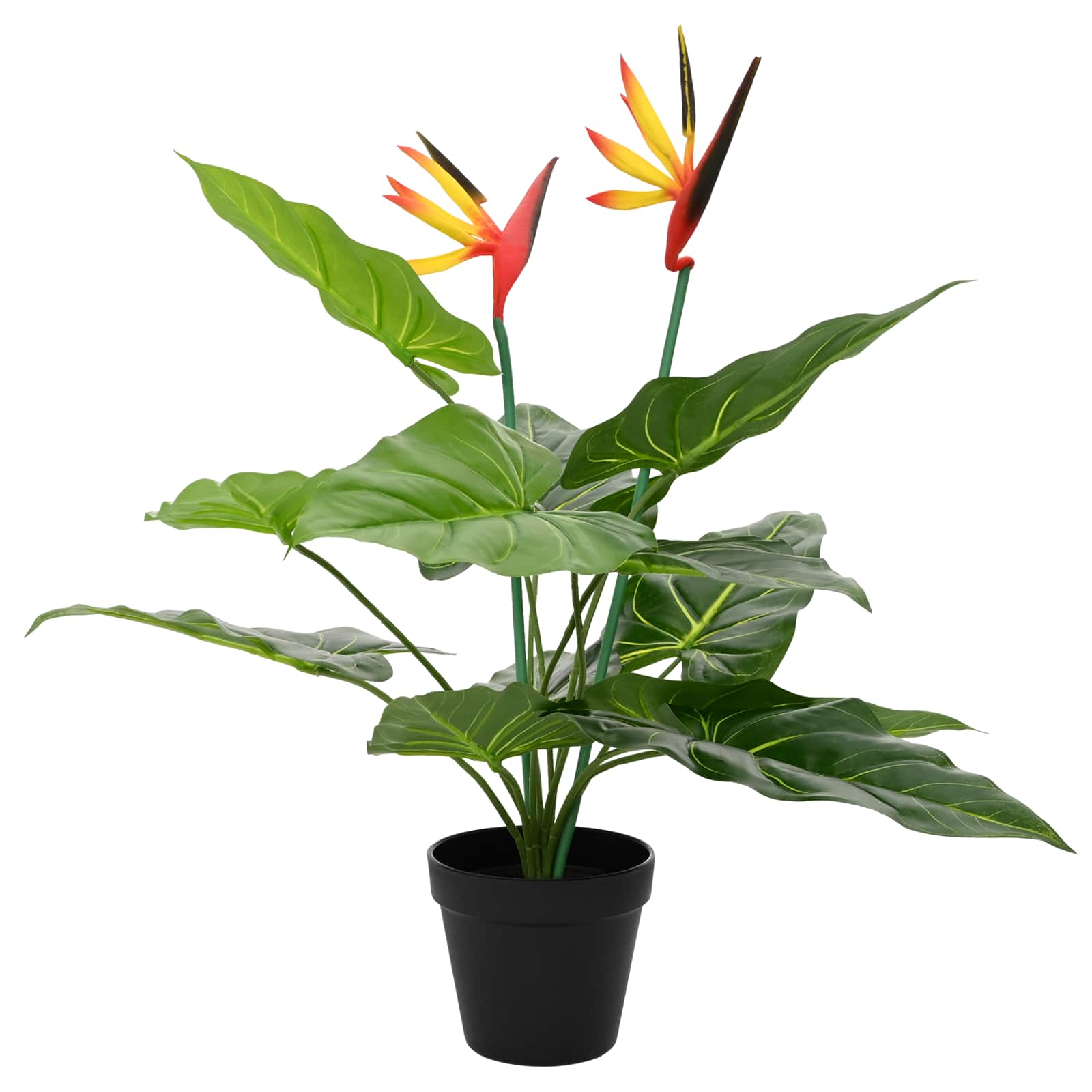 Pianta Artificiale Strelitzia Verde 65 x 13 x 55 cm