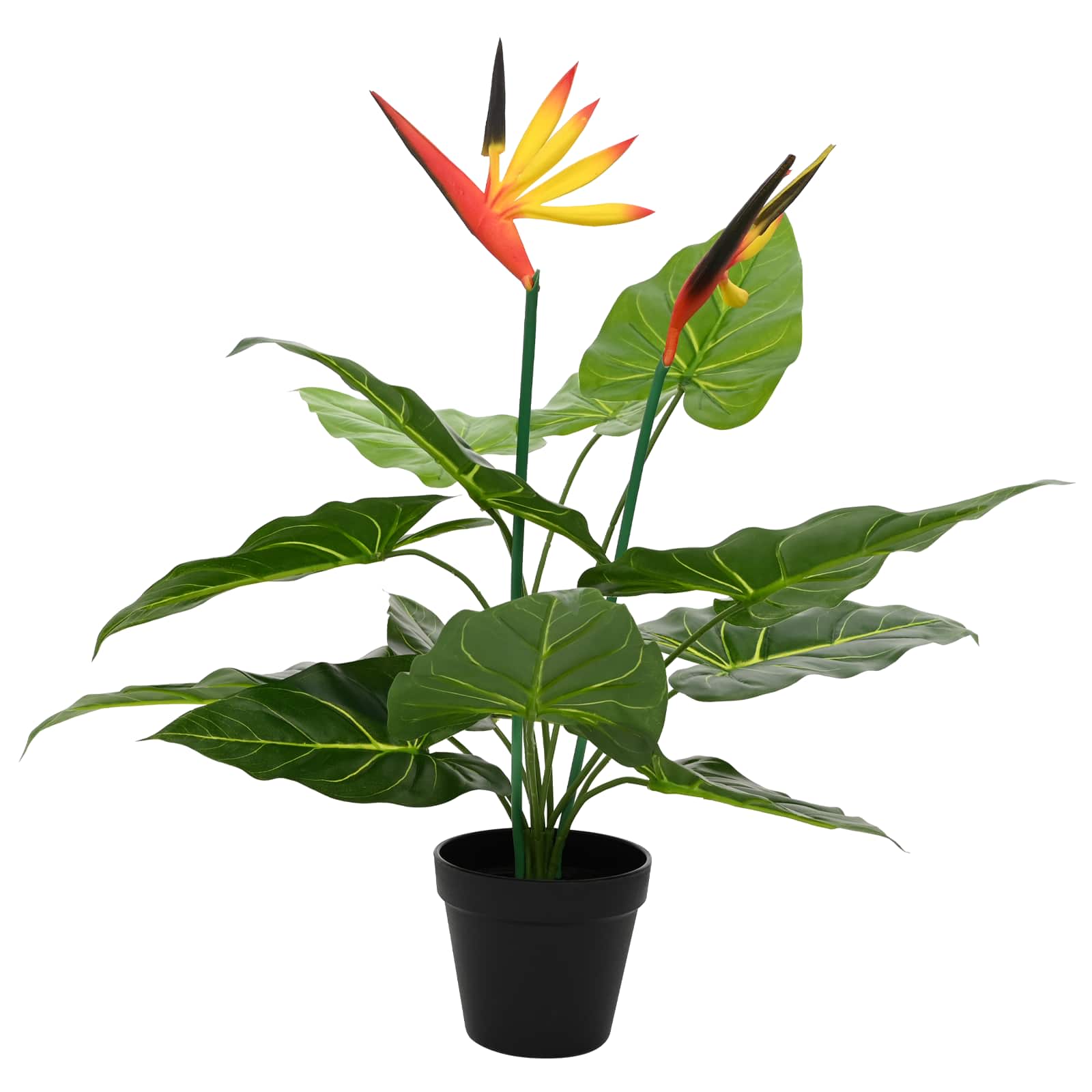 Pianta Artificiale Strelitzia Verde 65 x 13 x 55 cm