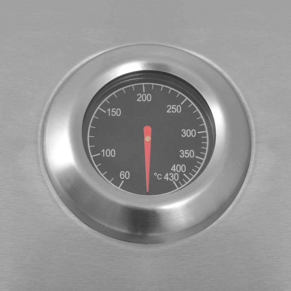 Griglia Barbecue a Gas Argento Acciaio con Tubo Metallico