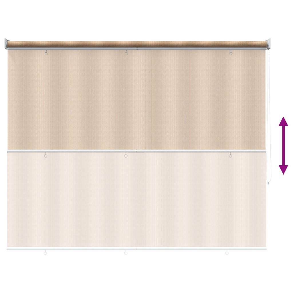 Tenda a Rullo per Esterni 165(L)x230(A) cm Beige