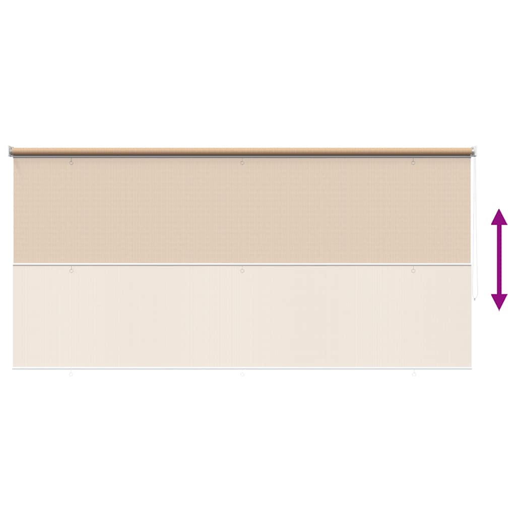 Tenda a Rullo per Esterni 305(L)x230(A) cm Beige