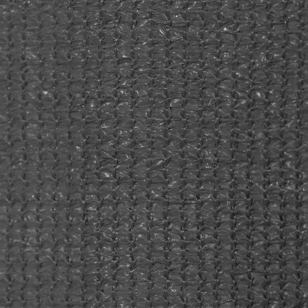 Tenda a Rullo per Esterni 145(L)x140(A) cm Antracite