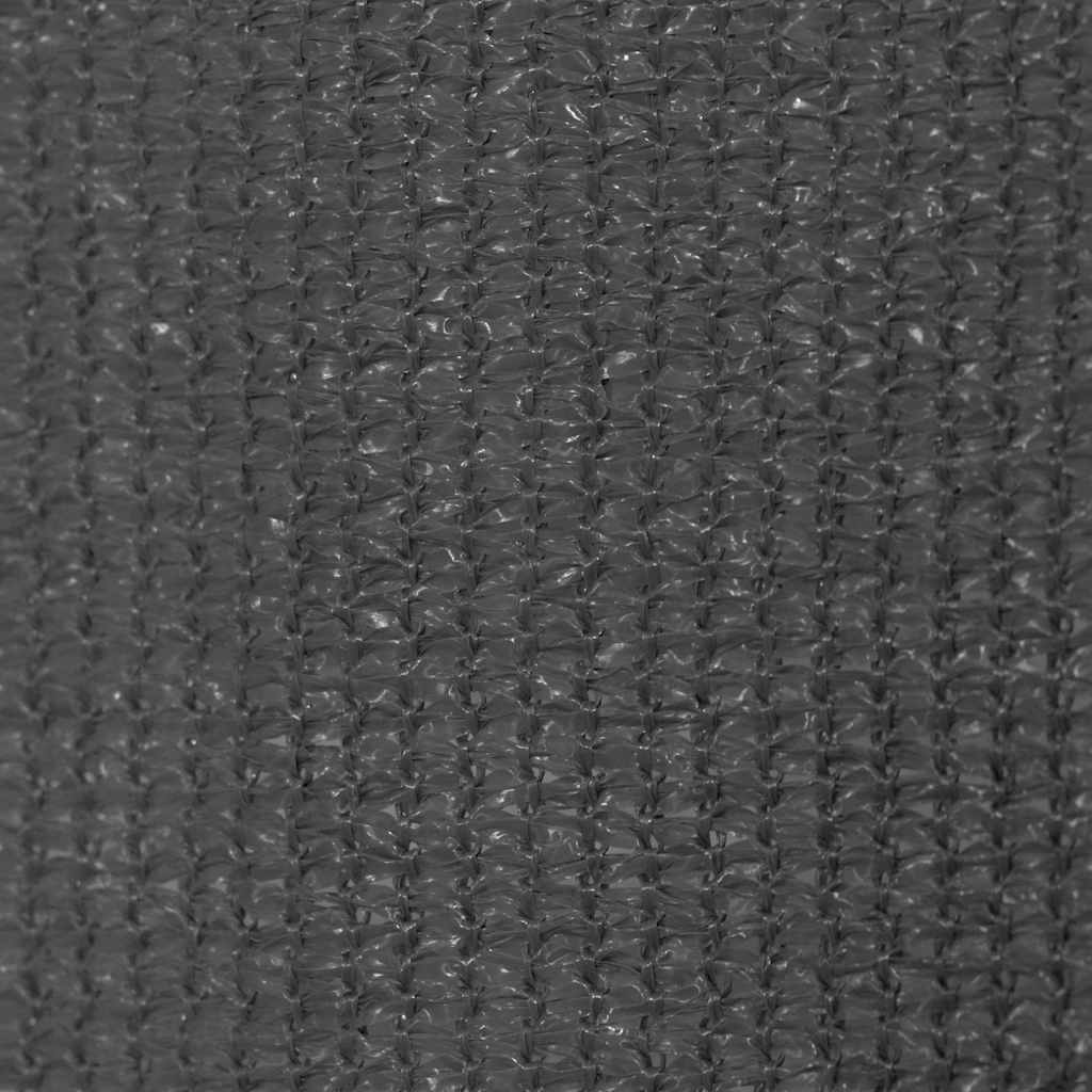 Tenda a Rullo per Esterni 245(L)x140(A) cm Antracite