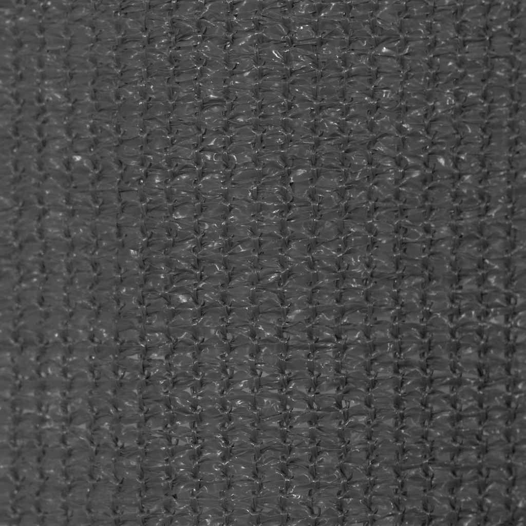 Tenda a Rullo per Esterni 245(L)x230(A) cm Antracite