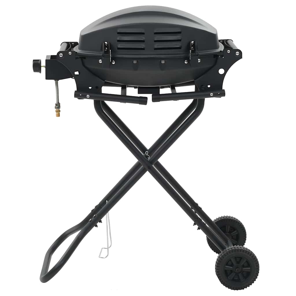 Barbecue a gas portatile in acciaio verniciato, 103 x 47 cm