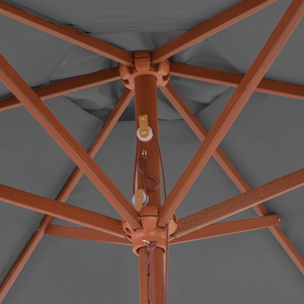 Ombrellone da Esterni con Palo in Legno 270 cm Antracite