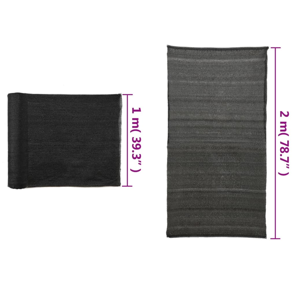 Rete per Privacy in HDPE 2x50 m Nera