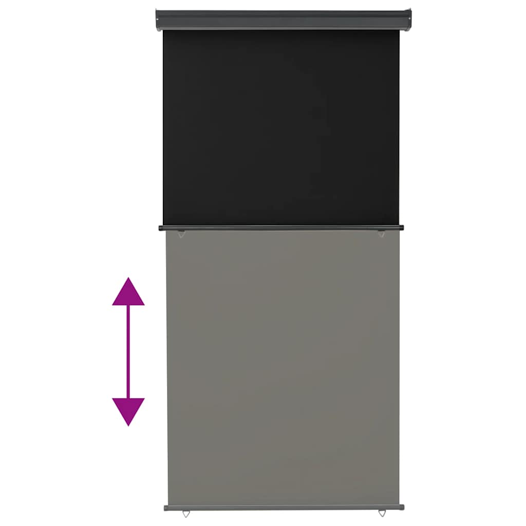 Tendalino Laterale per Balcone 125x250 cm Nero