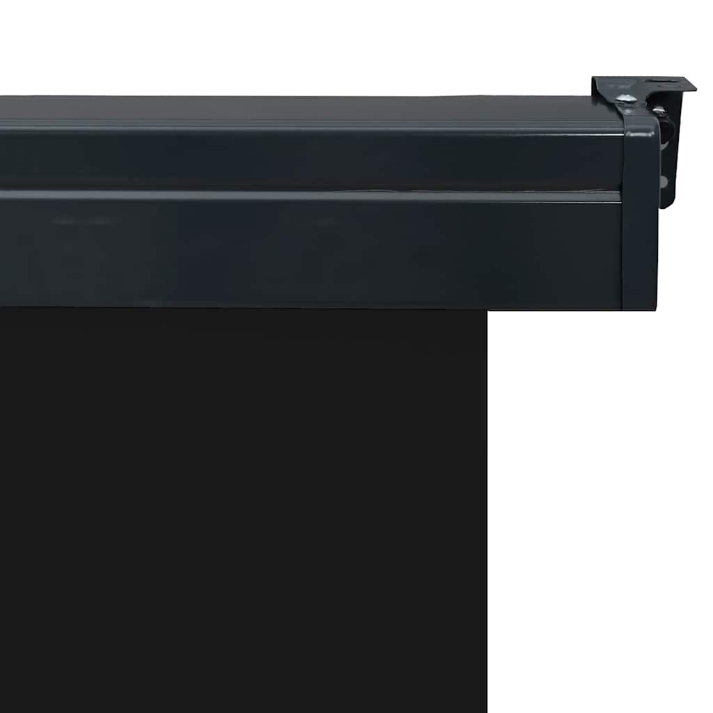 Tendalino Laterale per Balcone 165x250 cm Nero
