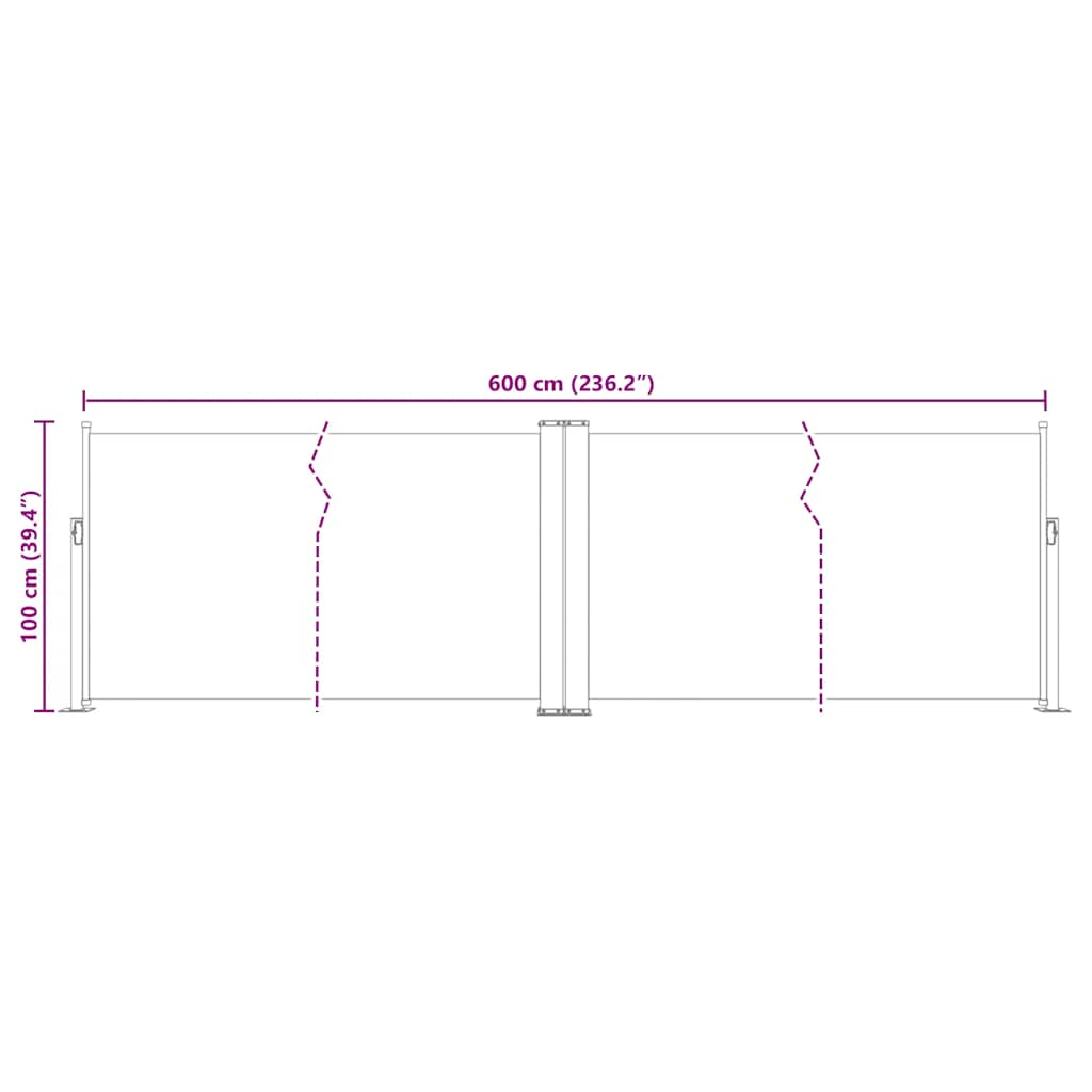 Tenda da Sole Laterale Retrattile Antracite 100x600 cm