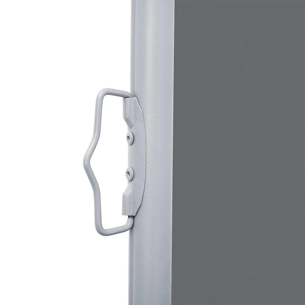 Tenda Laterale Retrattile Antracite 140x1000 cm
