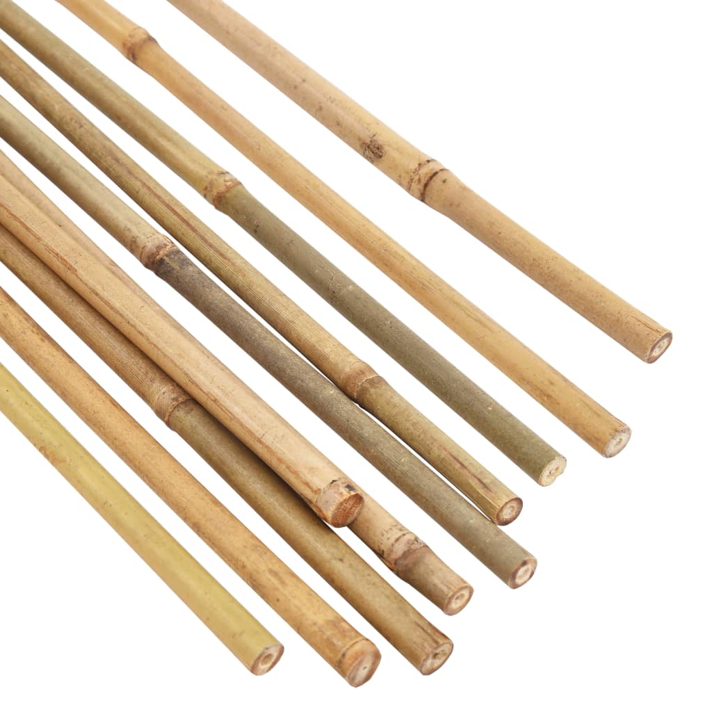 Pali di Bambù da Giardino 50 pz 150 cm