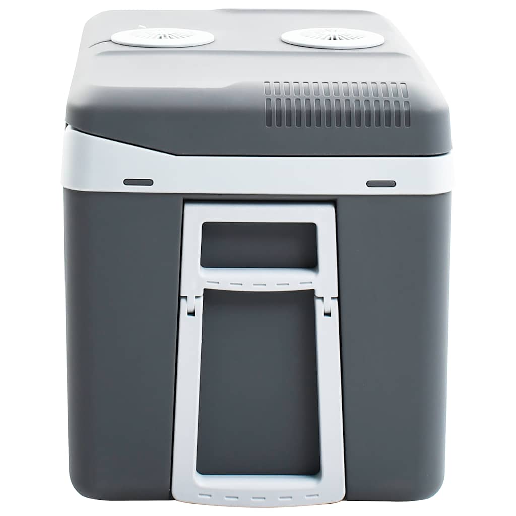 Scatola Termoelettrica Portatile 40 L 12 V 230 V E