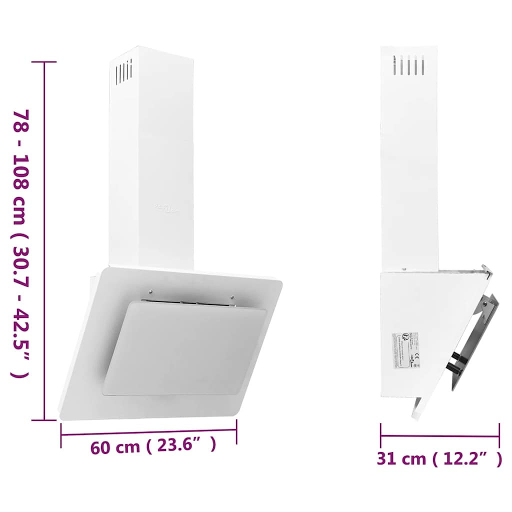 Cappa a Parete 60 cm in Acciaio Inox e Vetro Temperato Bianco