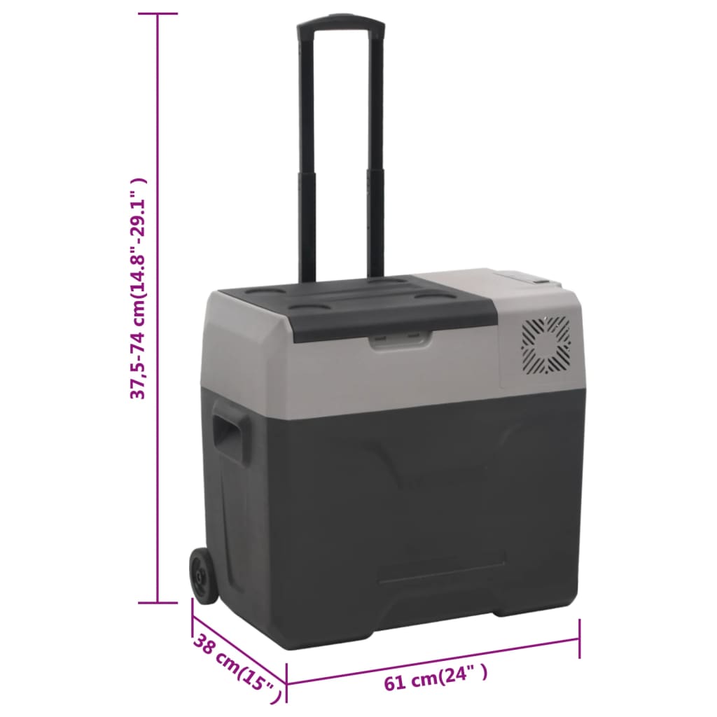 Borsa Frigo con Manico e Ruote Nera e Grigia 30 L Polipropilene