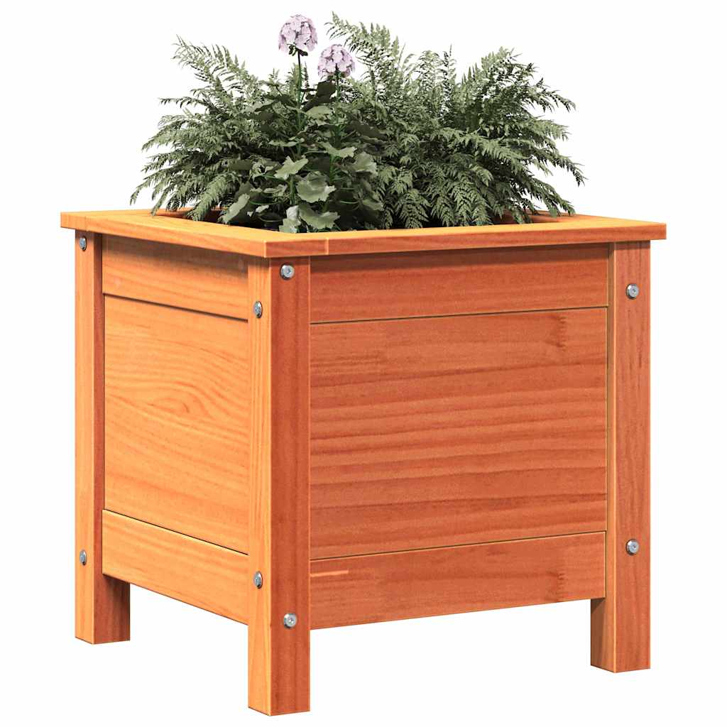 Vaso da giardino Marrone cerato 40 x 40 x 39 cm Pino massello