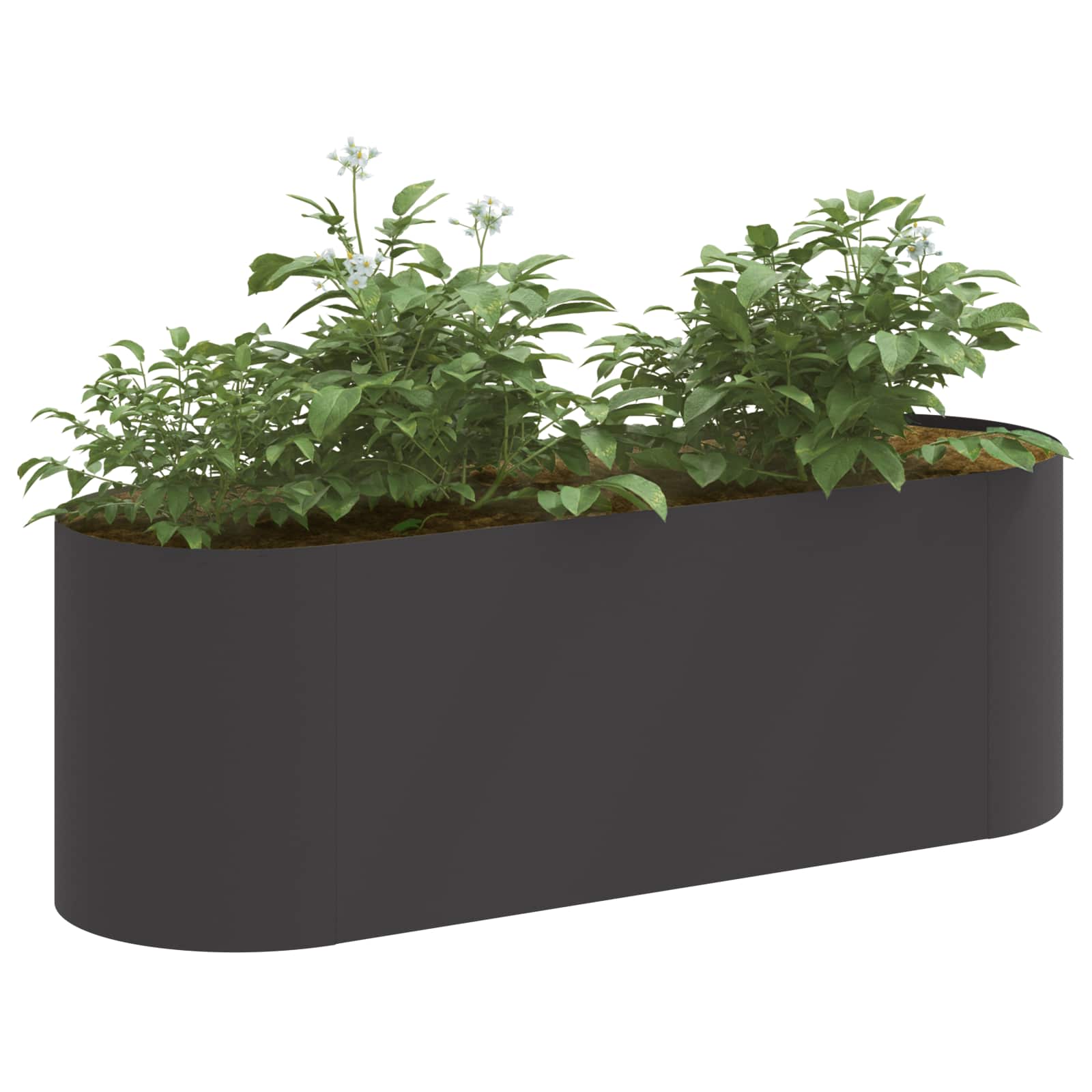Letto rialzato da giardino Nero 120 x 40 x 40 cm Acciaio