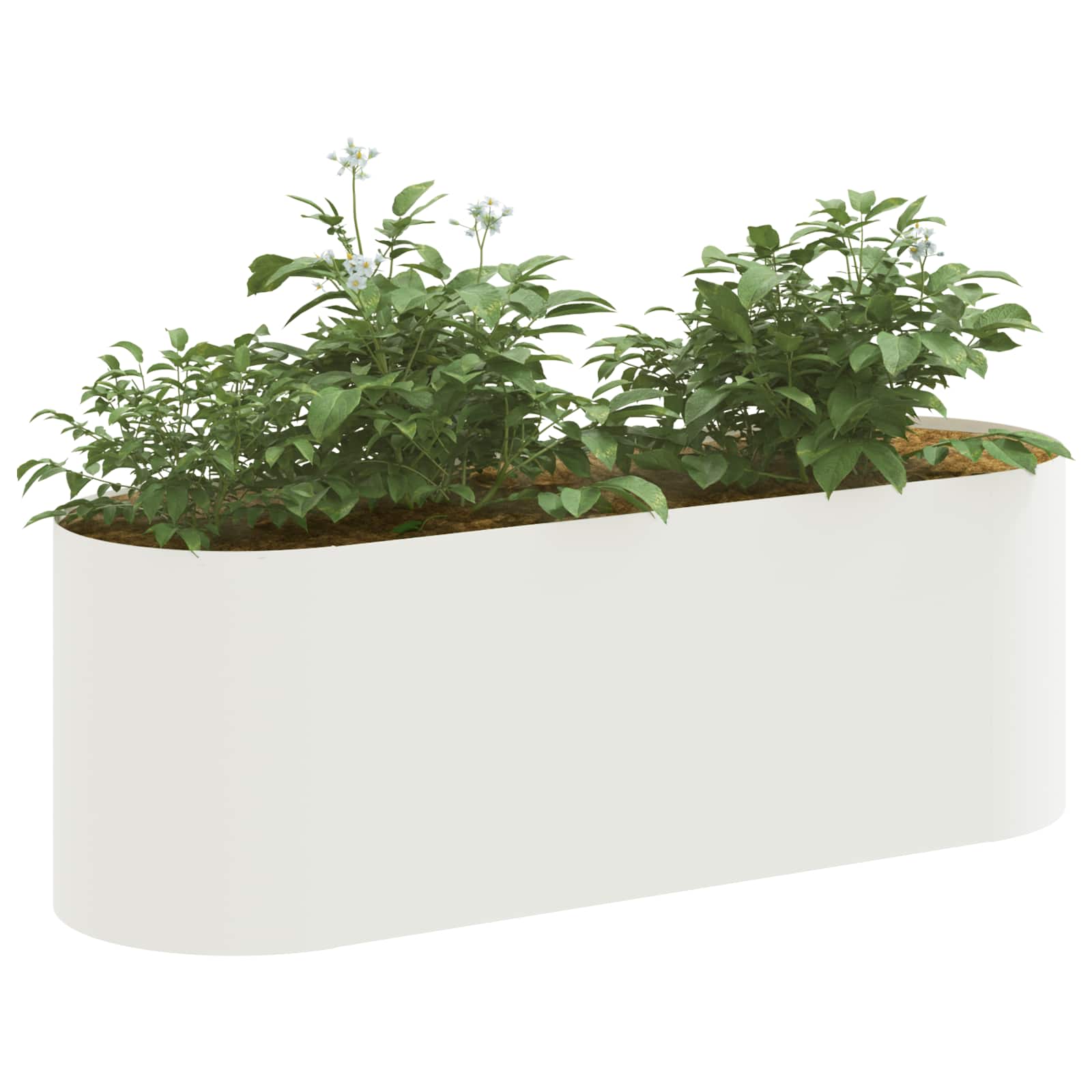 Letto rialzato da giardino Bianco 120 x 40 x 40 cm